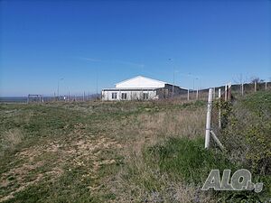 image_8