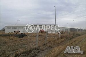 image_3