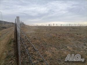image_5