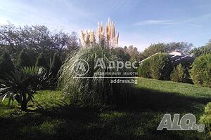 image_9