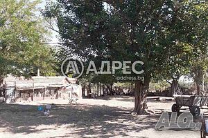 image_7