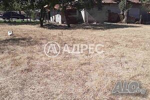 image_9