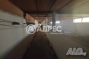 image_7