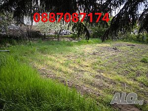 image_9