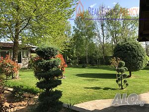 image_8