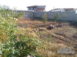 image_6