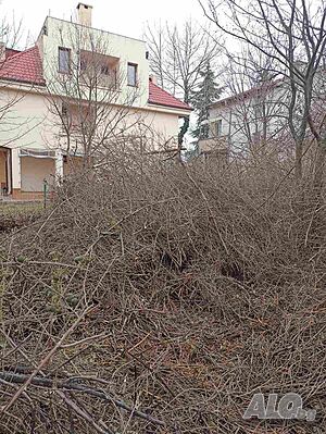 image_12