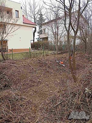 image_13