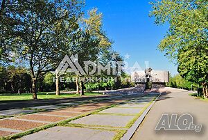 image_6