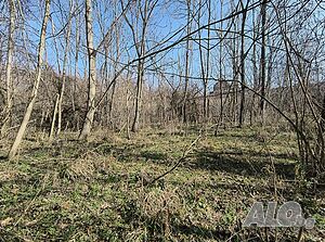 image_6