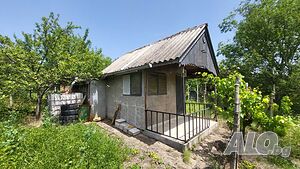 image_7