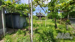 image_11