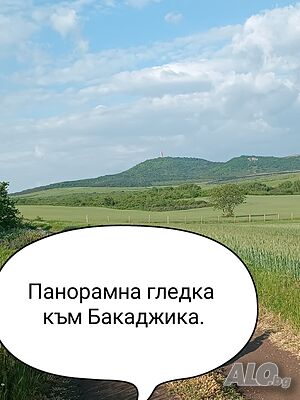image_44