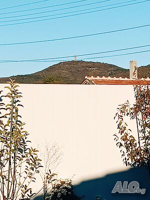 image_45
