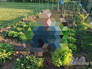 image_43