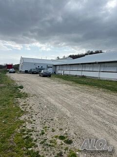 image_7