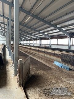 image_10