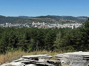 image_2