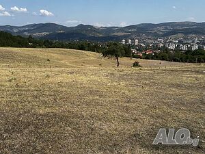 image_11