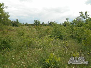 image_12