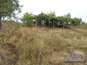 image_7