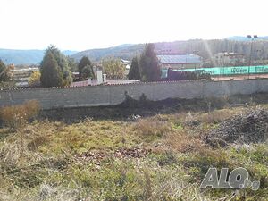 image_5