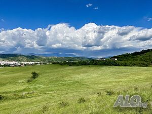 image_6
