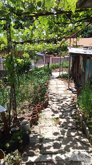 image_12