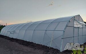 image_11
