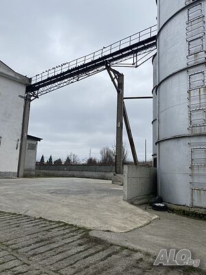 image_7