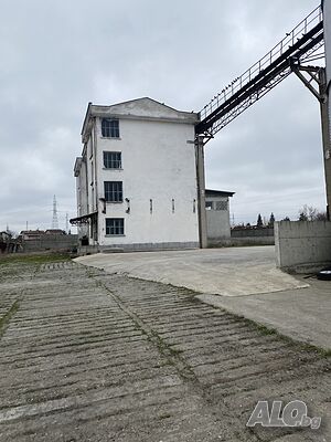 image_8