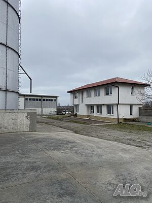image_10