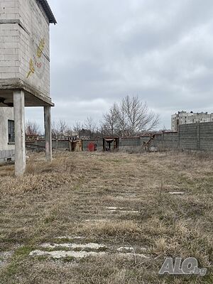 image_12