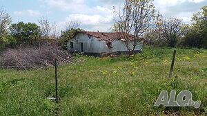 Къща в с. житосвят Едноетажна къща 85 кв.м РЗП 1150 кв.м двор | Къщи, Вили | Житосвят