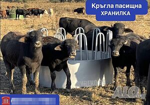 ТОП ОФЕРТА❗️ Предлагаме различни видове пасищни хранилки
