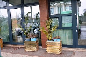 image_11