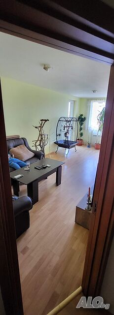 image_6