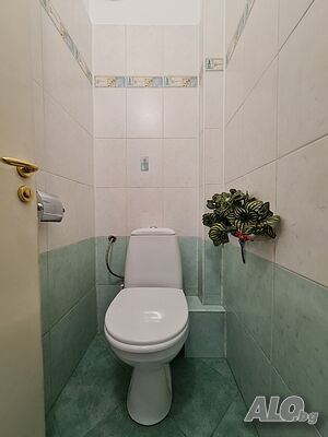 image_11