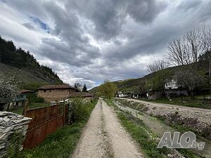 image_9