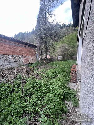 image_11