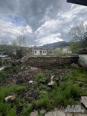 image_12