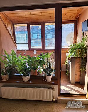 image_9