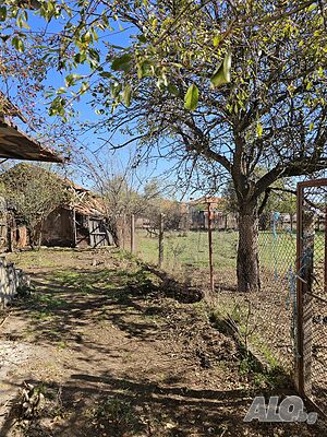 image_12