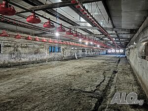 image_9