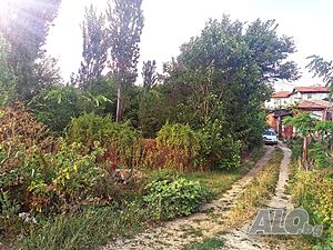 image_3