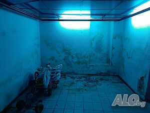 image_11