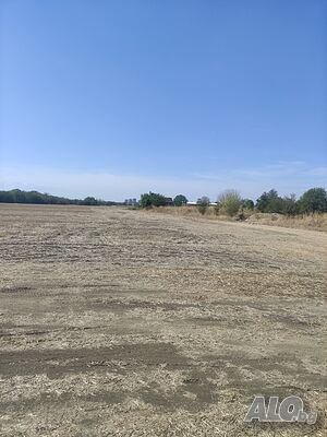 image_6
