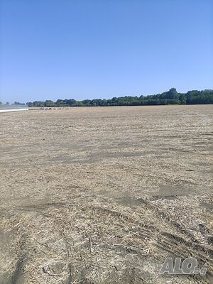 image_8