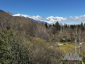 image_12