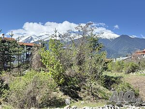 image_12